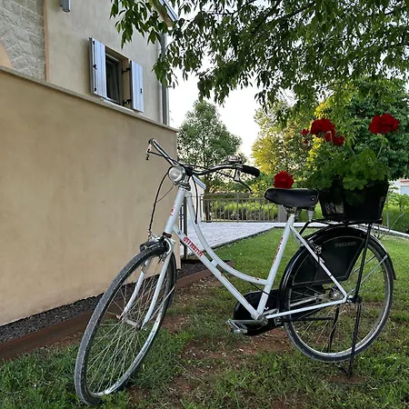 Luxury Branko Istria * Svetvinčenat