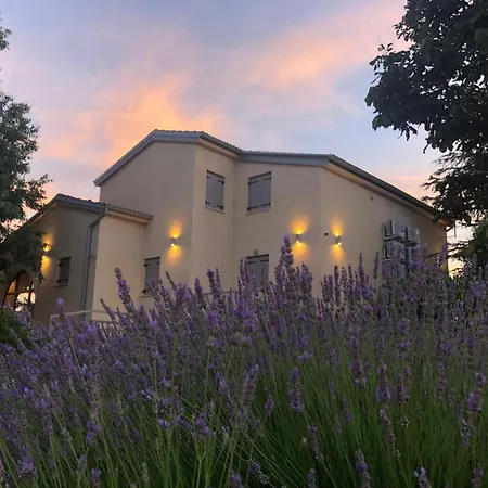 Luxury Branko Istria Villa *