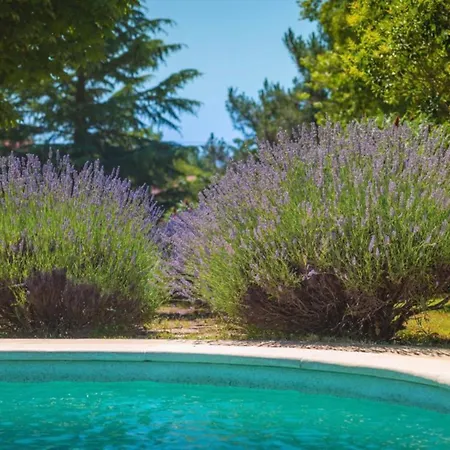 Villa Luxury Branko Istria Svetvinčenat