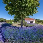 Villa Branko Istria *