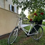 Branko Istria * Svetvinčenat
