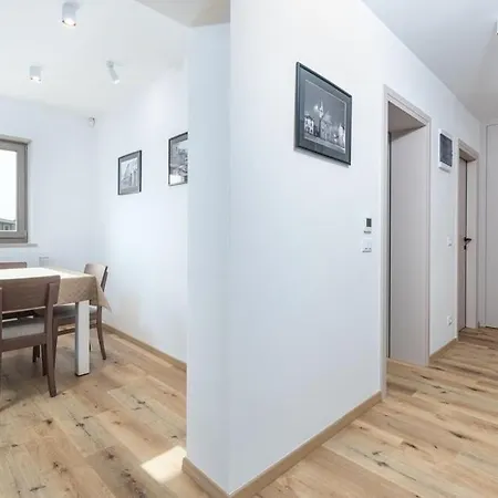 Luxury Branko Istria Villa