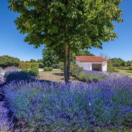 Villa Luxury Branko Istria *