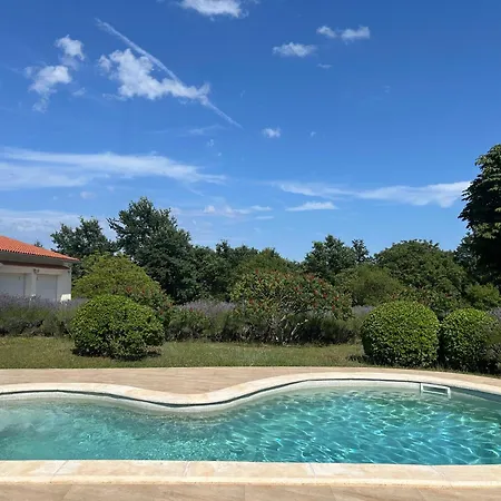 Luxury Branko Istria Villa Svetvincenat